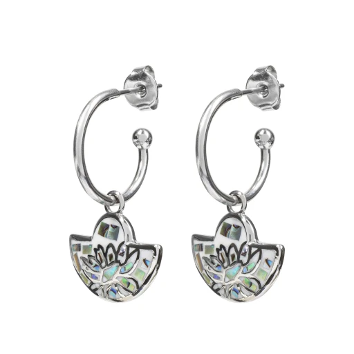 Серьги Fiore Luna AE03598-6A