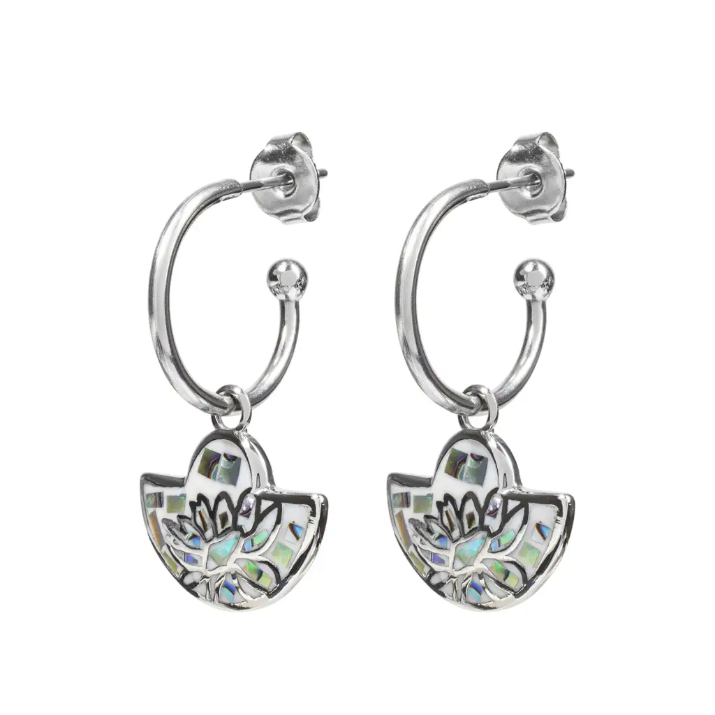 Серьги Fiore Luna AE03598-6A