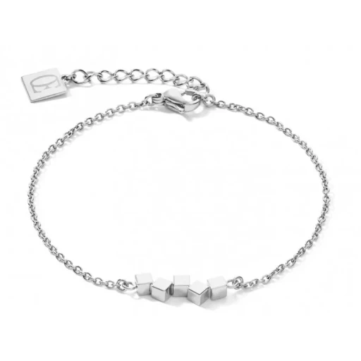 Браслет Coeur de Lion Silver 5070/30-1700