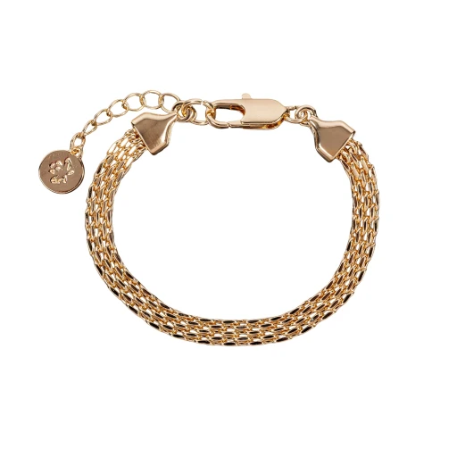 Браслет Fiore Luna Chain Сarabiner CL4510 G