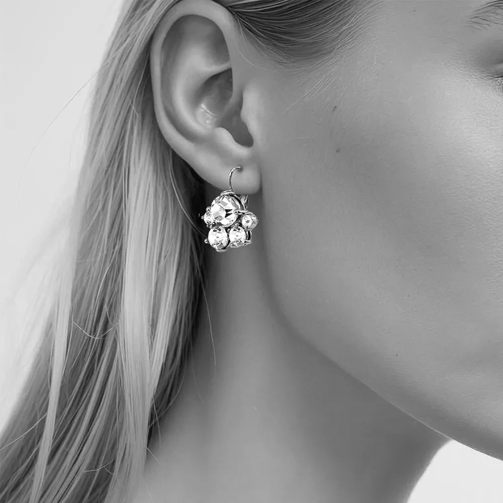 Серьги Dyrberg Kern DISAR SG CRYSTAL 480087