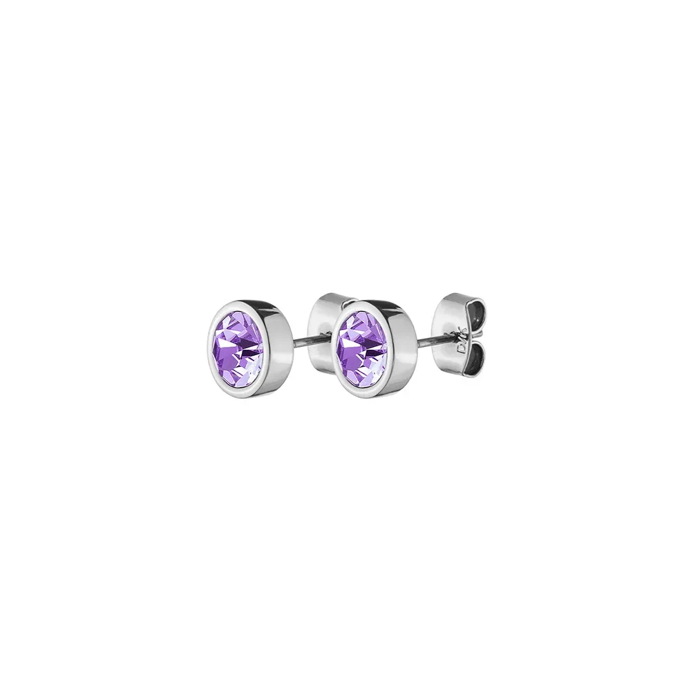 Dyrberg Kern Пусеты NOBLE SS VIOLET 420024 V/S