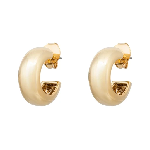 Серьги Fiore Luna ACE22533-01 G