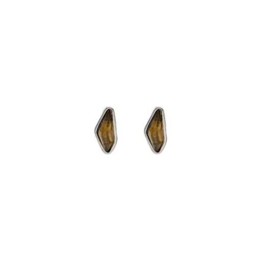 Ciclon Пусеты LIPNO MARRON A241608-02