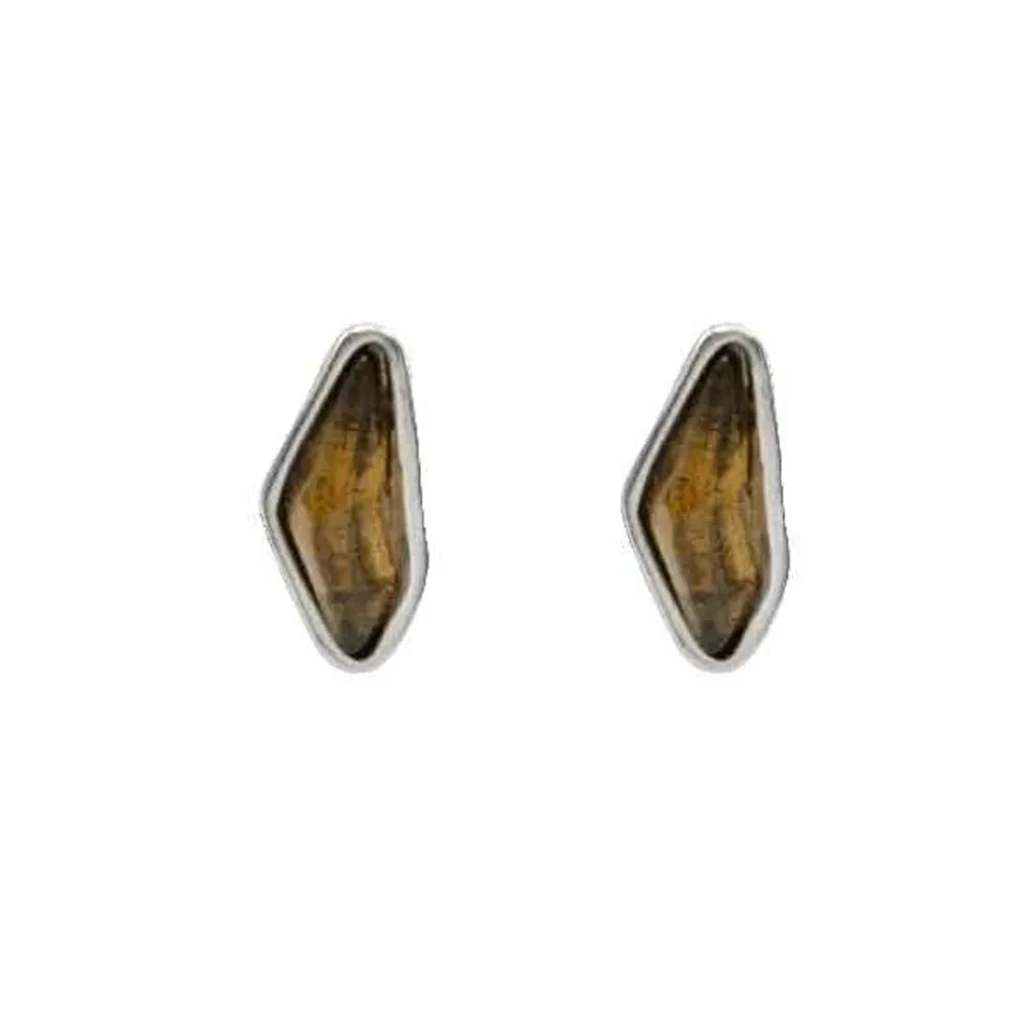 Ciclon Пусеты LIPNO MARRON A241608-02
